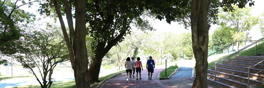 Pessoas caminham de máscaras no Parque Chuvisco cercado de árvores verdes grandes